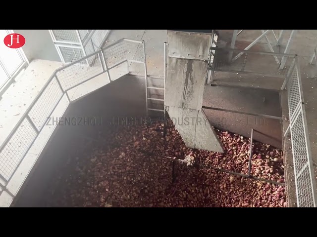 Cina SS Membersihkan Mesin Pembuat Tepung Ubi Jalar 25t / H 18.5kw Dijual
