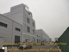 Peralatan pengolahan terus-menerus tepung kentang manis Mesin pati kentang manis