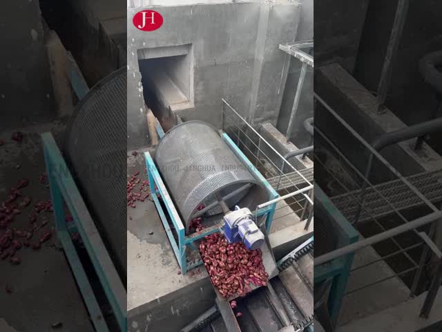 Cina Peralatan Pengolahan Pati Ubi Jalar dengan Kontrol PLC Menyediakan Tipe Pemrosesan Pembersihan Penggilingan Pengemasan untuk Aplikasi Industri Dijual